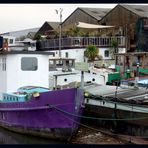 Lilac ship with Palms - East London and the whole world is Barking... woof