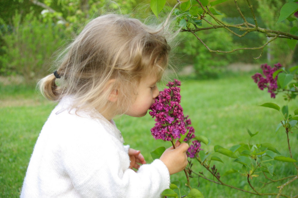 LILAS ET CHARLOTTE