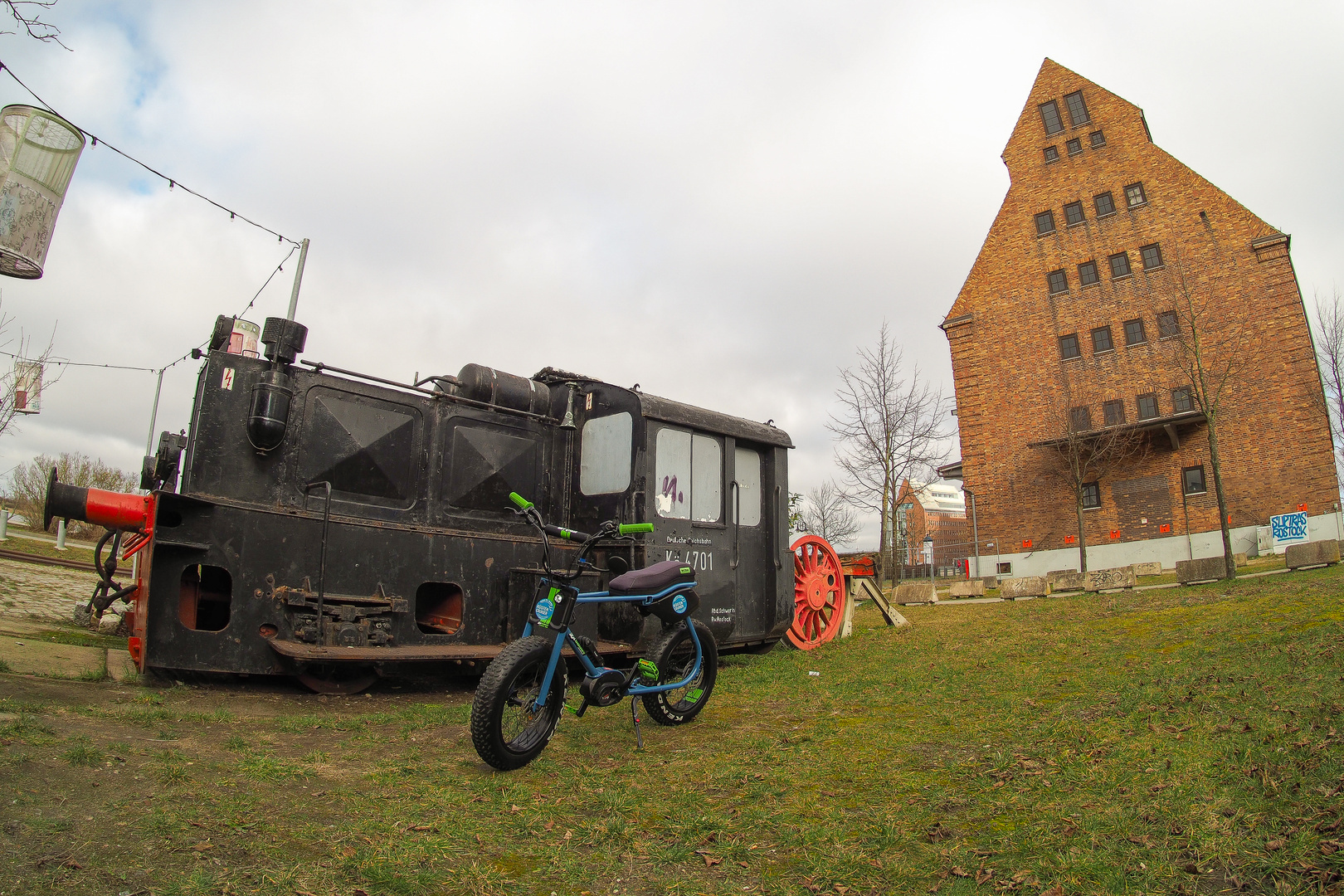 Lil'Buddy sorgt in Rostock für Aufmerksamkeit (6)