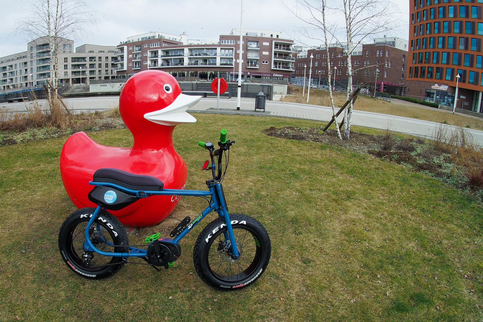 Lil'Buddy sorgt in Rostock für Aufmerksamkeit (7)