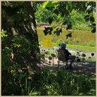 lilburn tower gardens