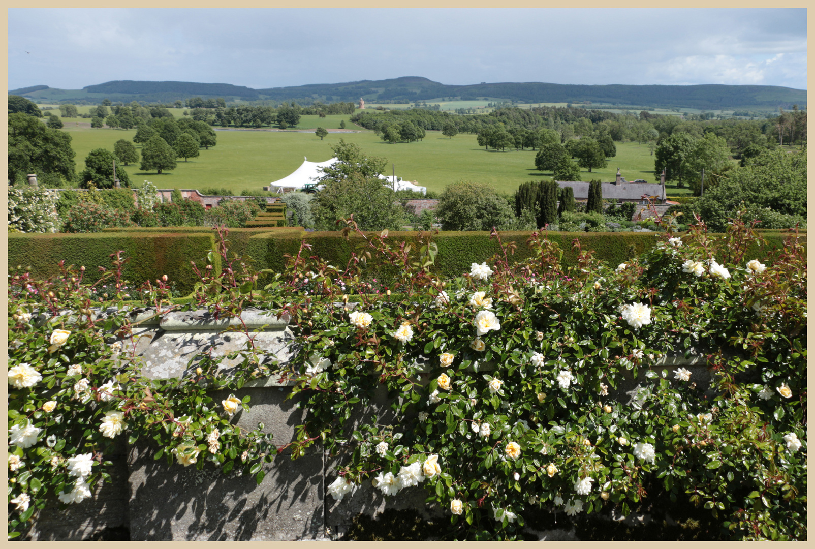 lilburn tower gardens 9