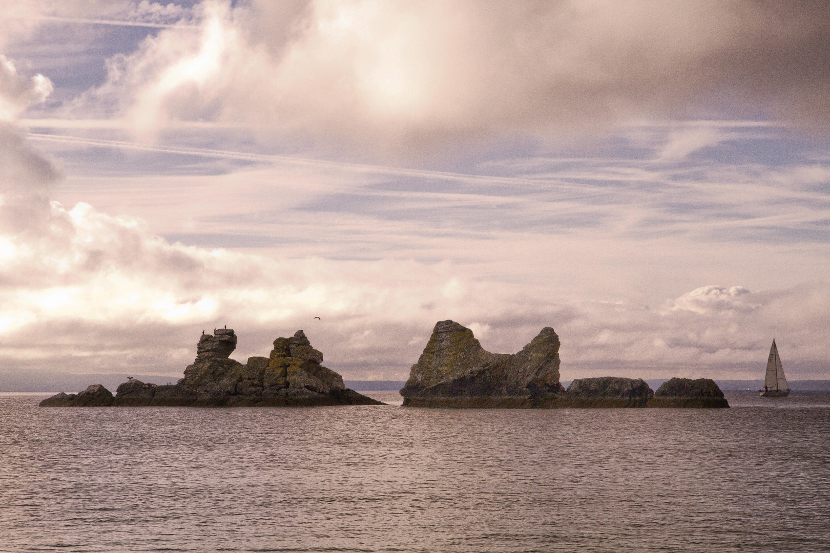 L'Ile aux oiseaux Bretagne