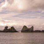 L'Ile aux oiseaux Bretagne