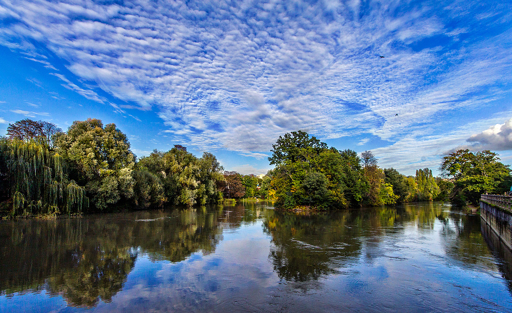 L'ile de Champigny