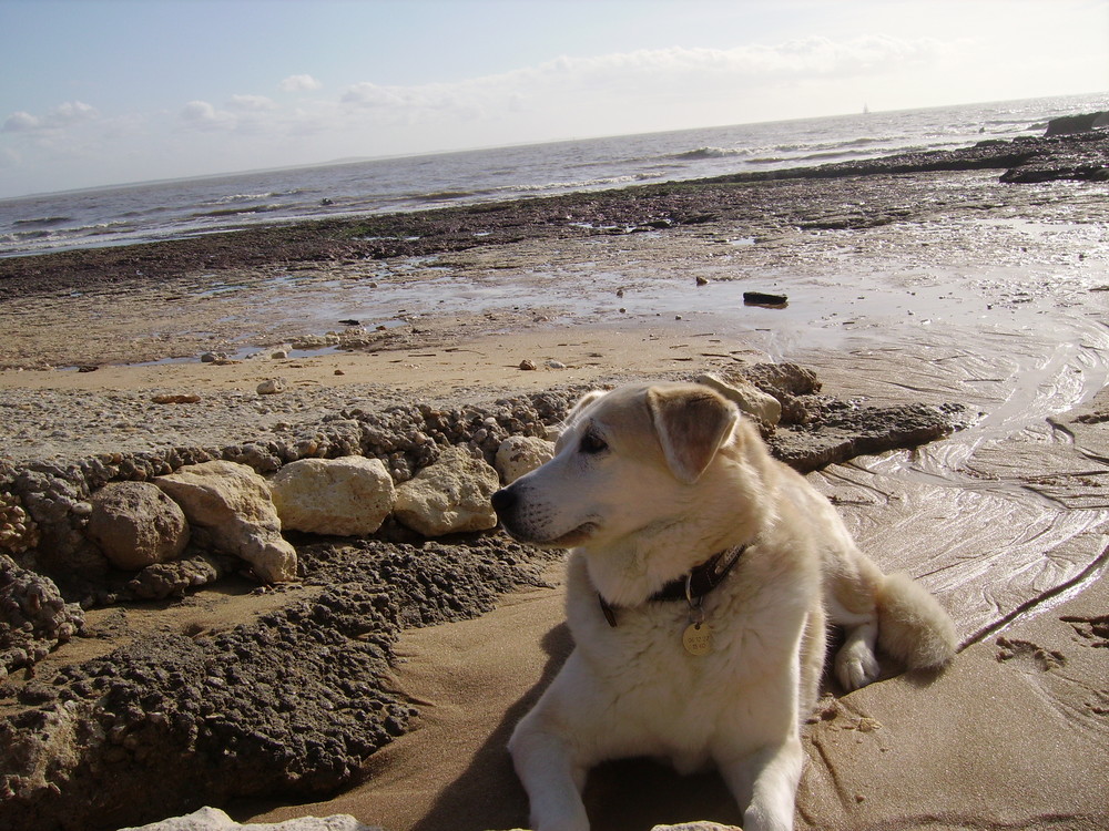 Lili et la mer