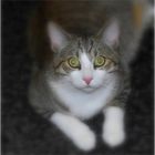 User Profile Photo