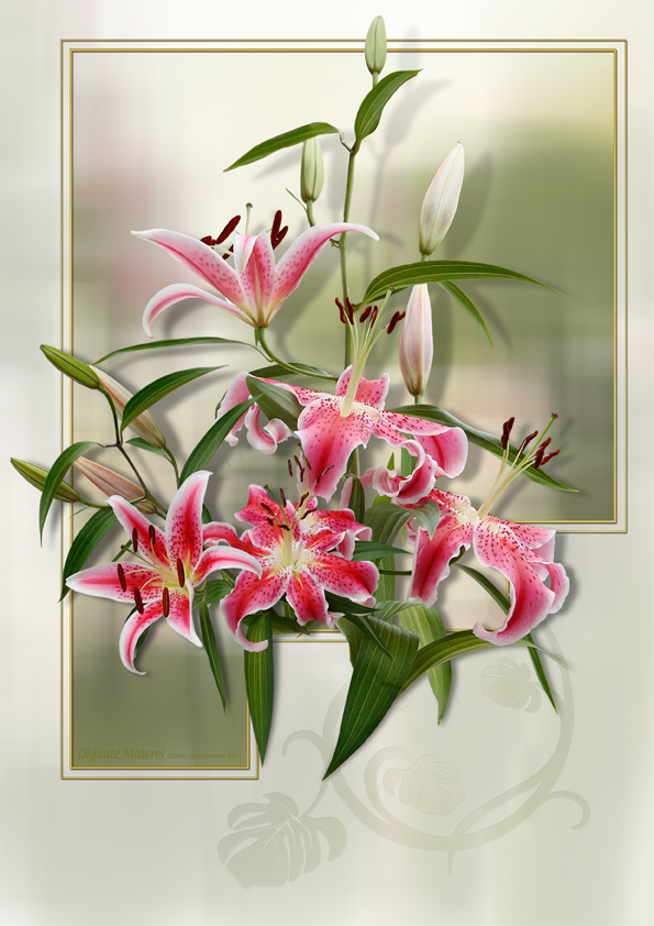 Lilien