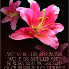 ***Lilien***