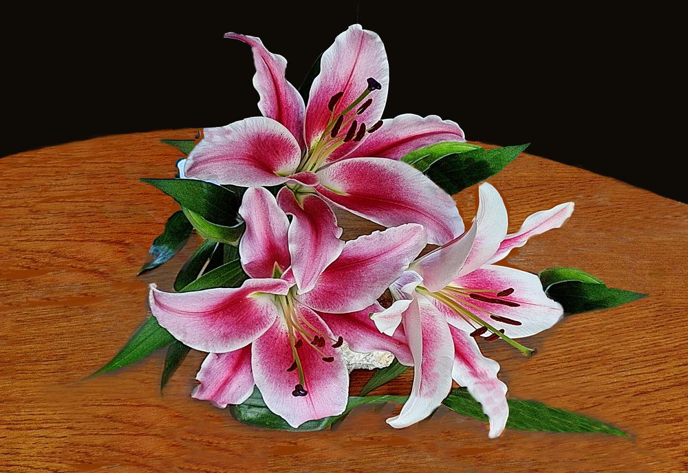 Lilien im Herbst Foto & Bild blumen , fotos, spezial Bilder auf