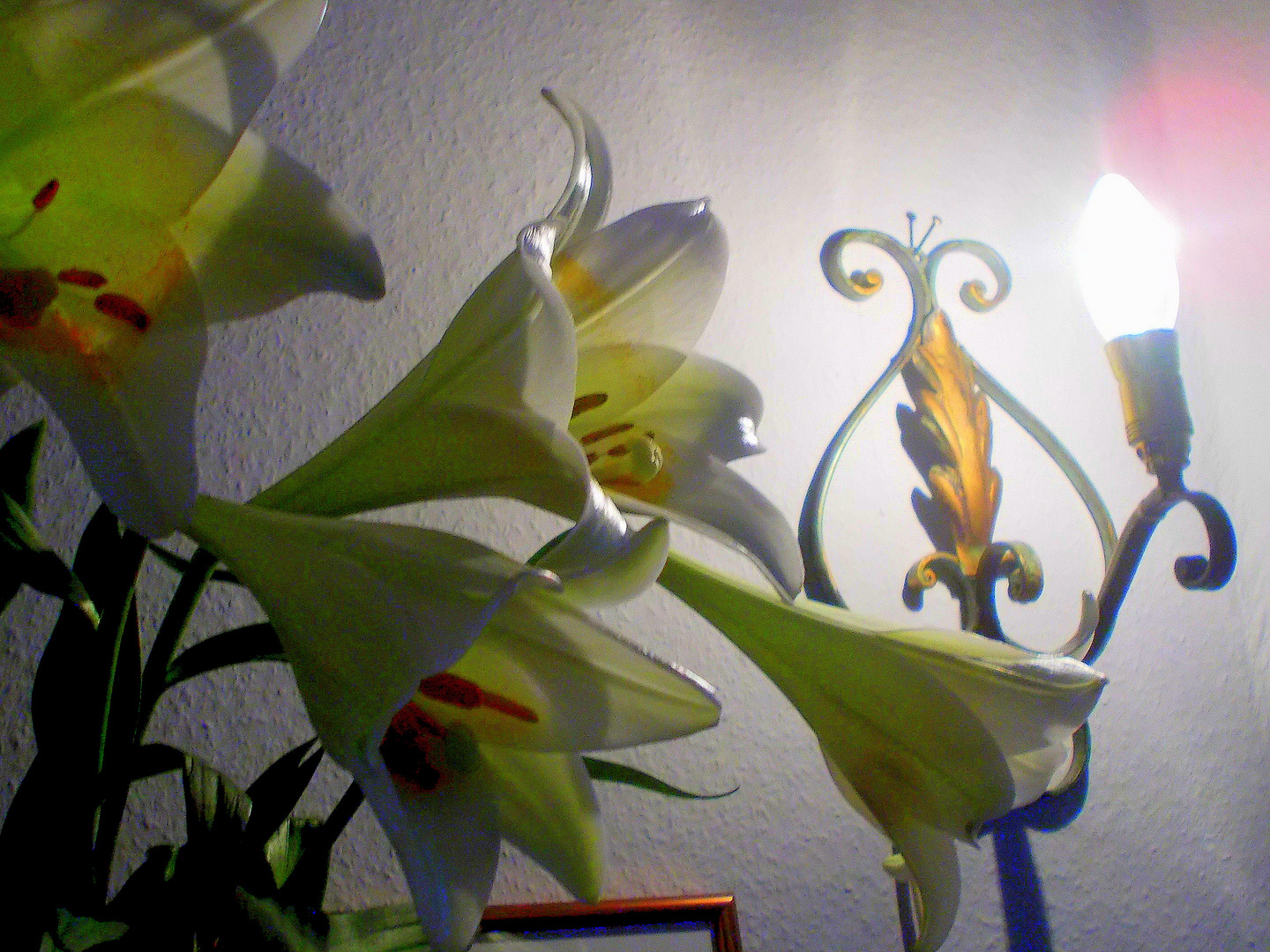 Lilien im Schein der antiken Lampe