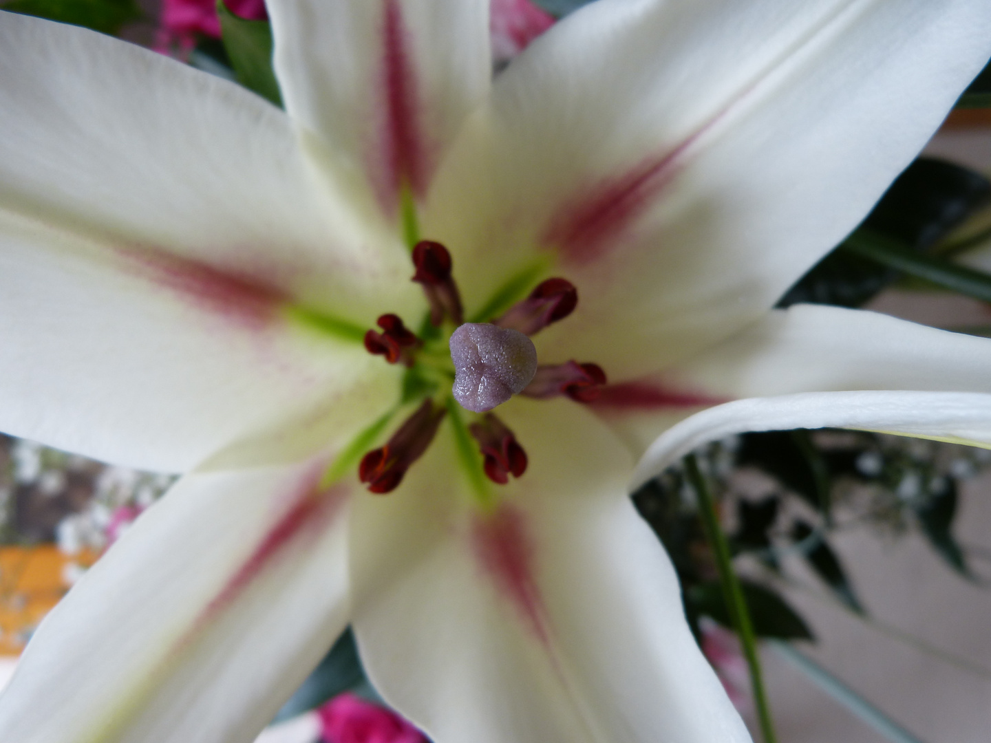 Lilienblüte