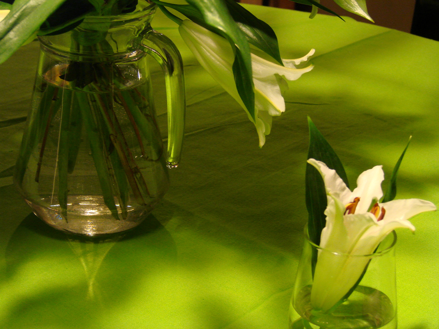 Lilienblüte im Glas