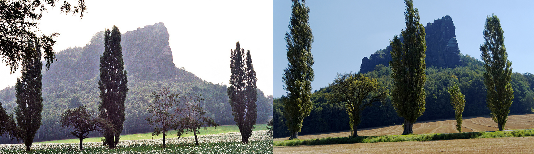 Lilienstein 1986 und 2016