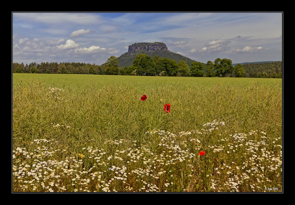 Lilienstein