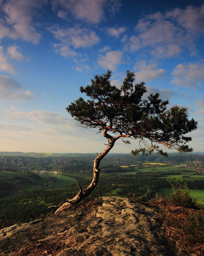 Lilienstein