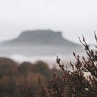 Lilienstein am Morgen 