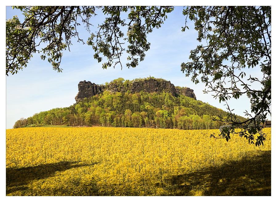 Lilienstein