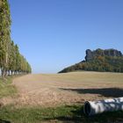 Lilienstein im Halteverbot