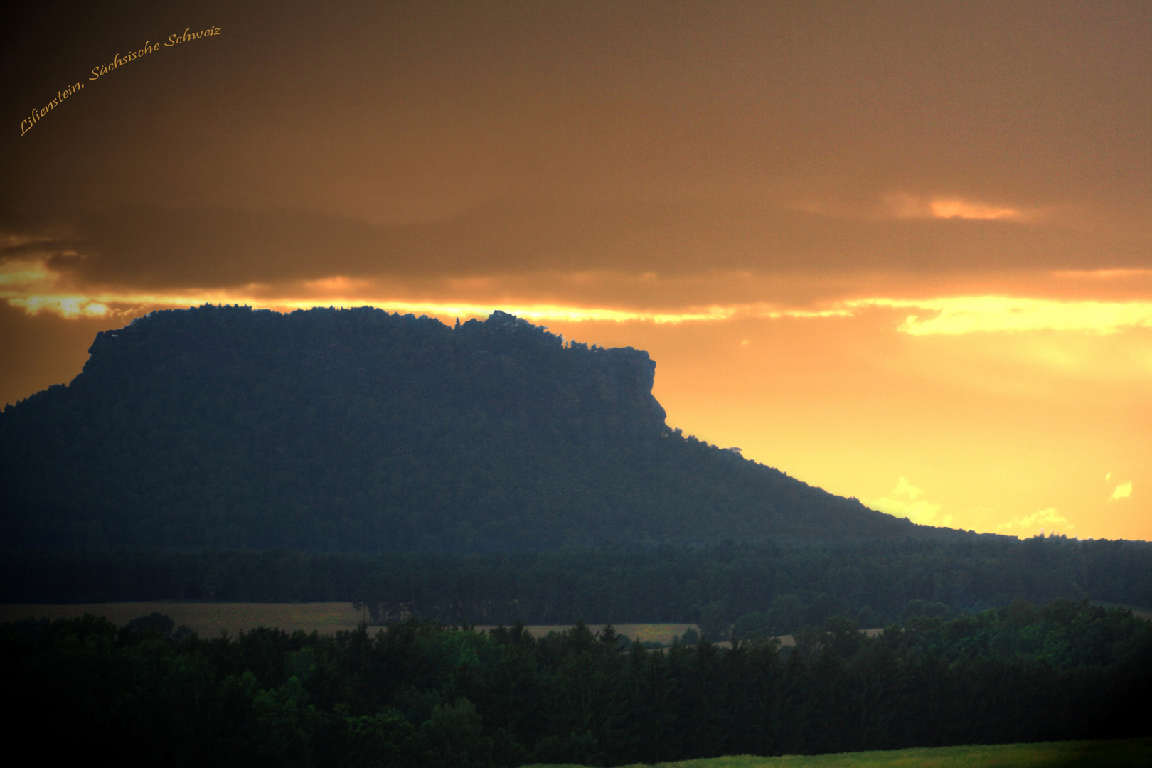 Lilienstein im Morgennebel (Sächsische Schweiz)