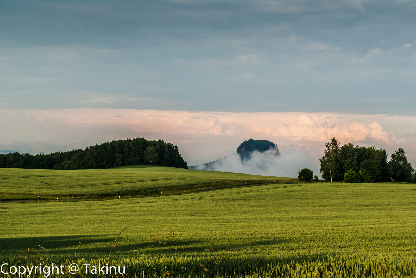 Lilienstein im Nebel