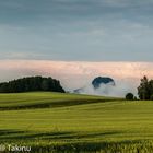 Lilienstein im Nebel