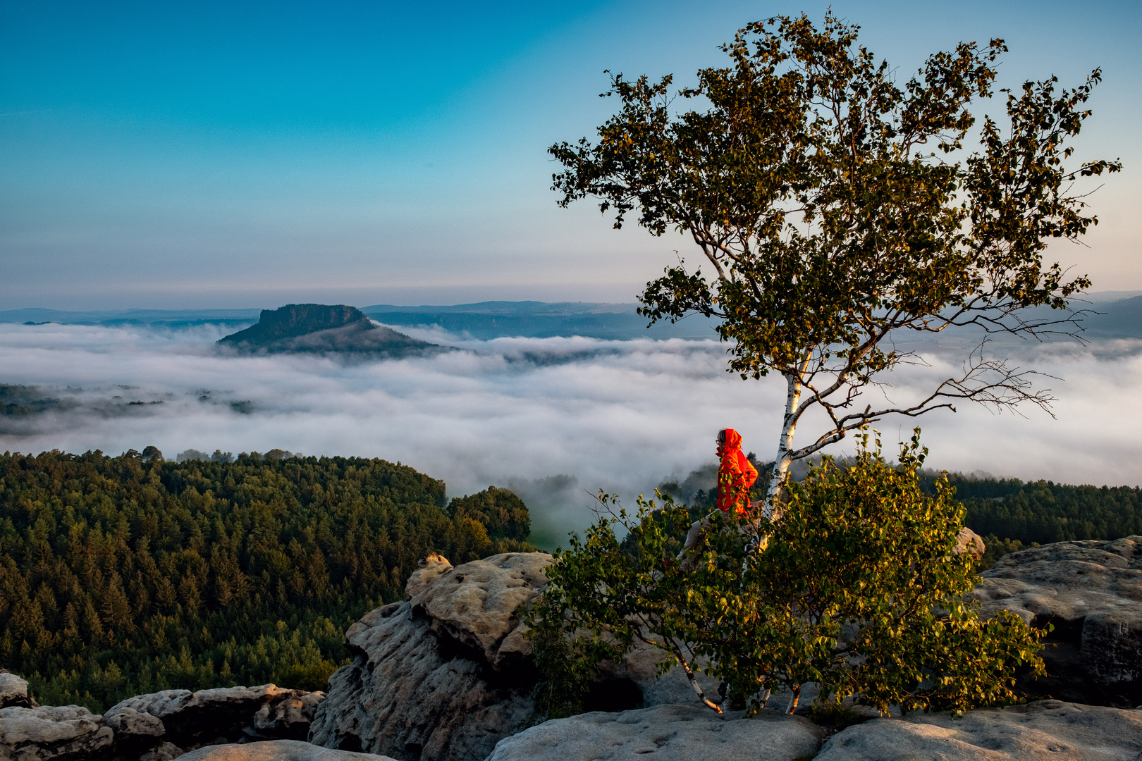 Lilienstein im Nebel