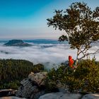 Lilienstein im Nebel