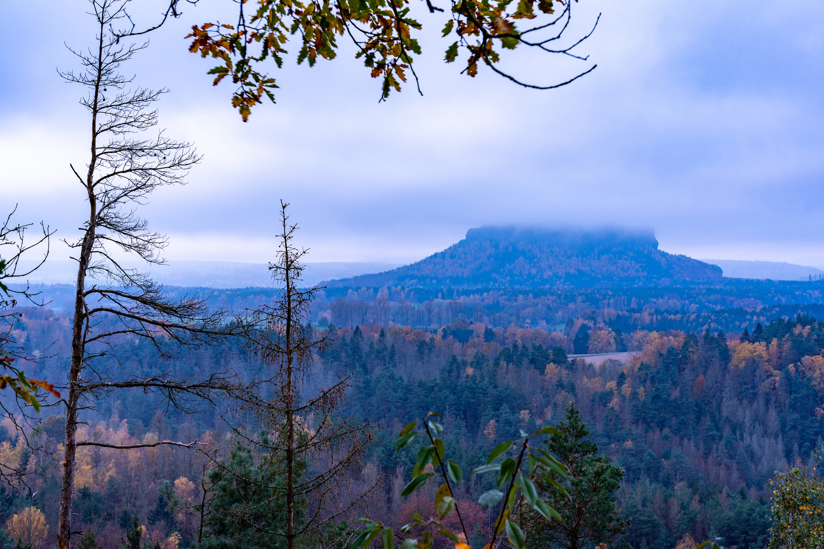 Lilienstein in der Wolke