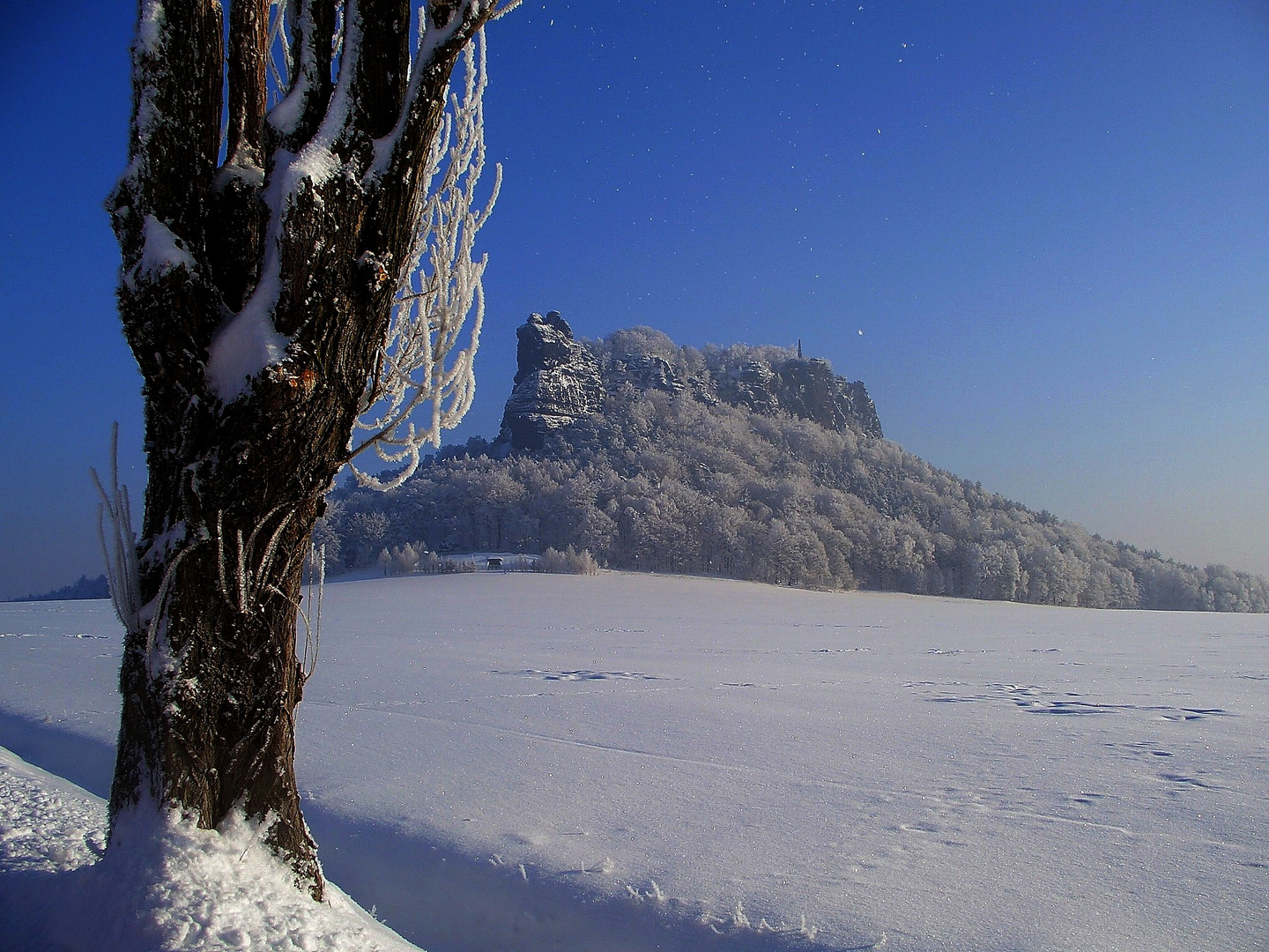 Lilienstein kalt erwischt 