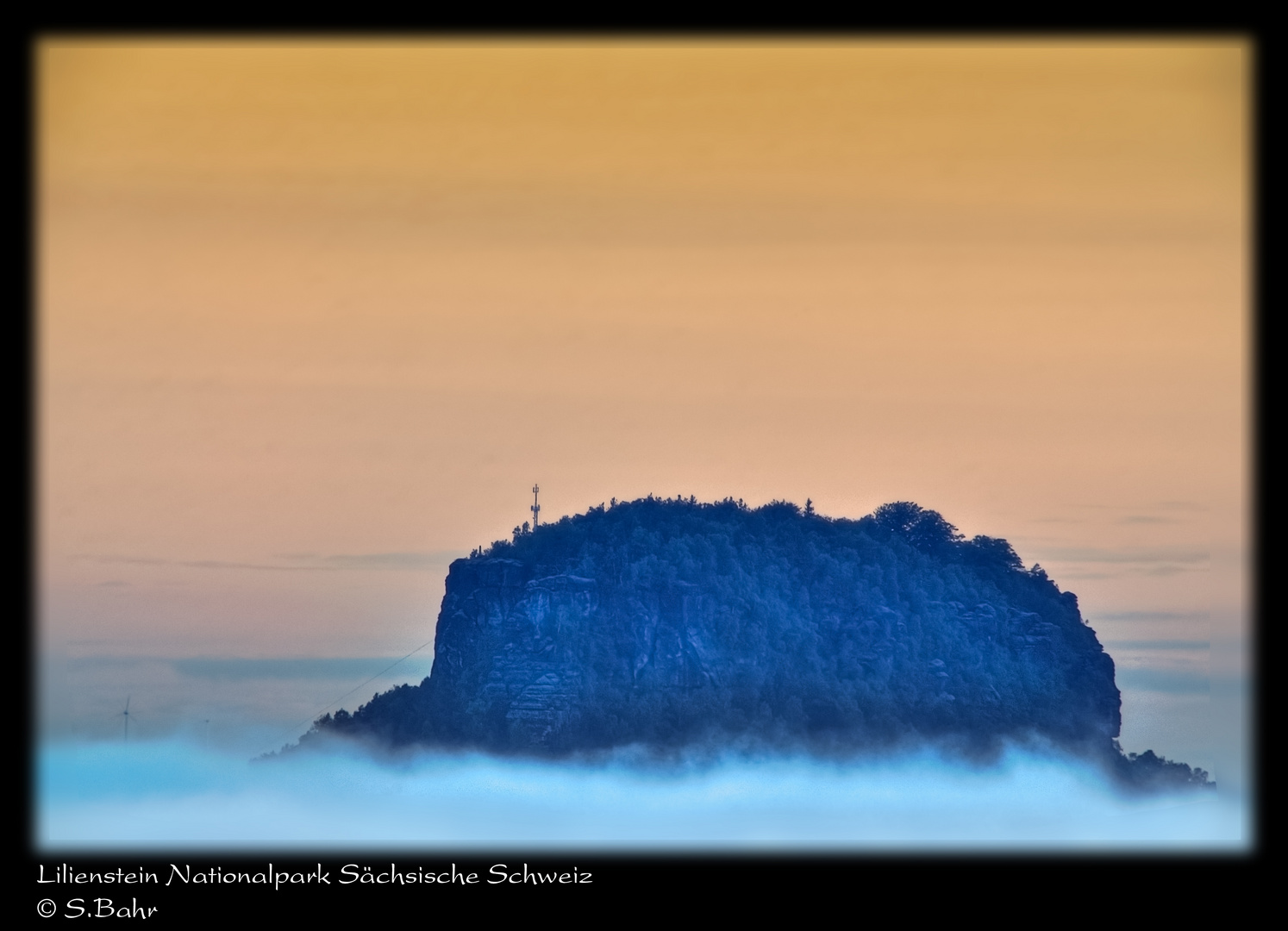 Lilienstein Nationalpark Sächsische Schweiz