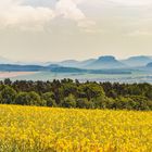 Lilienstein Panorama