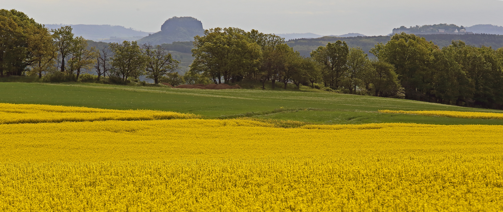 Lilienstein und Festung Königstein am Pfingstsonntag morgens ...