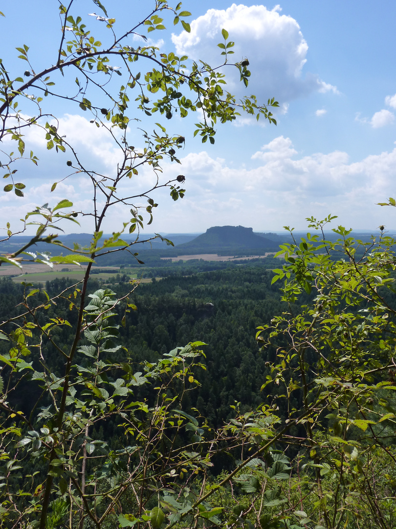 Lilienstein - vom Brand gesehen