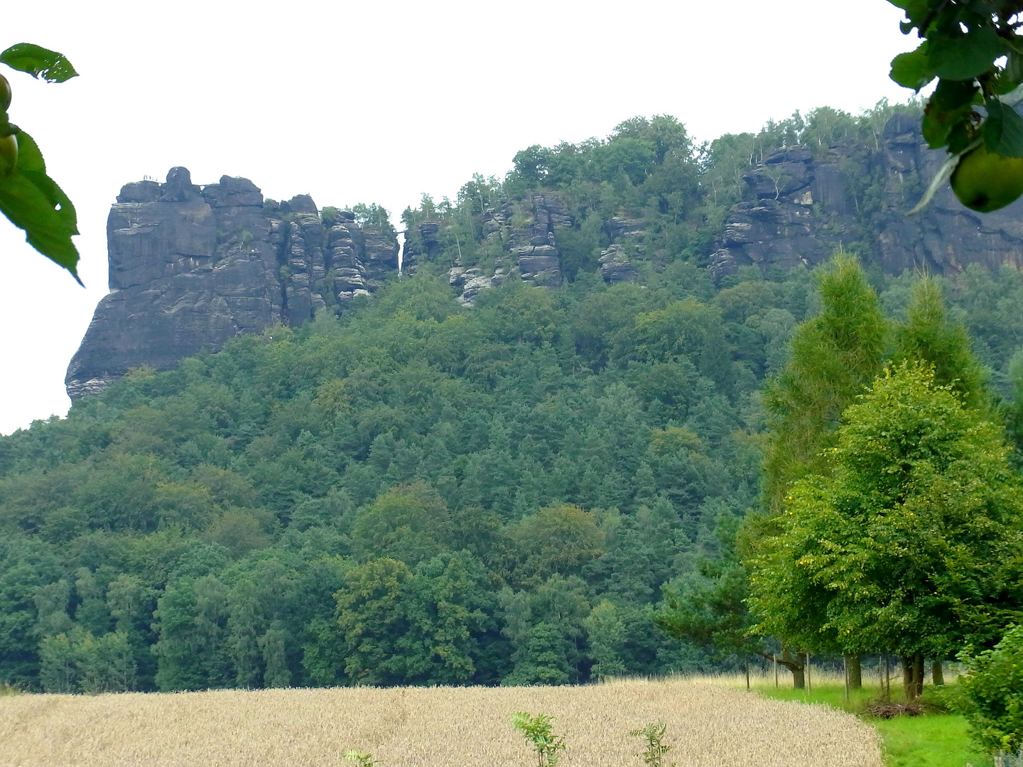 Lilienstein von Süden