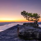 Lilienstein zum Sonnenaufgang