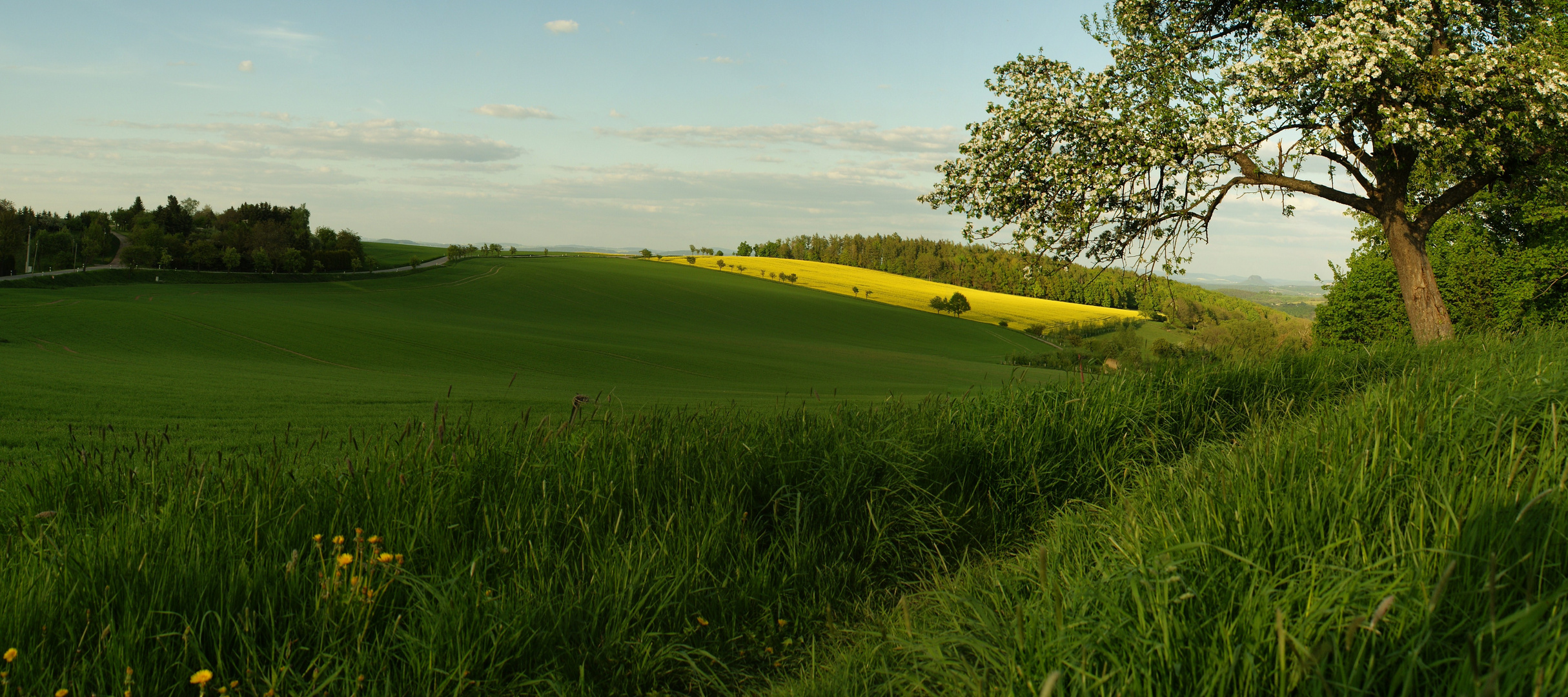 Liliensteinblick