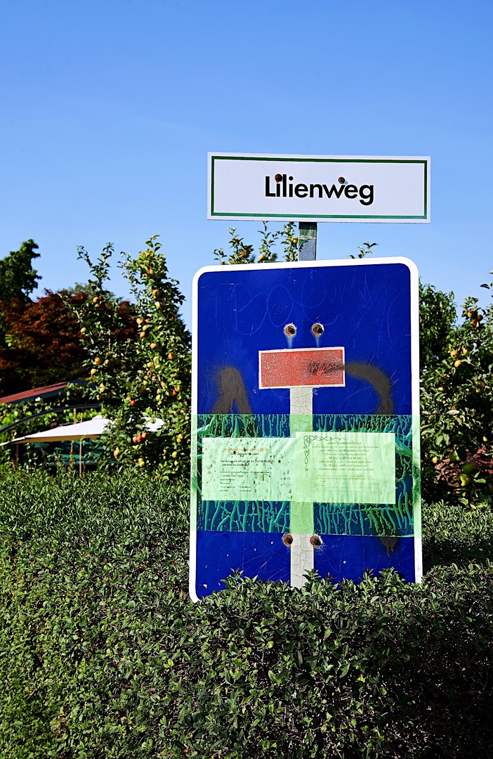 Lilienweg