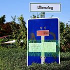 Lilienweg