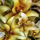 Lilies