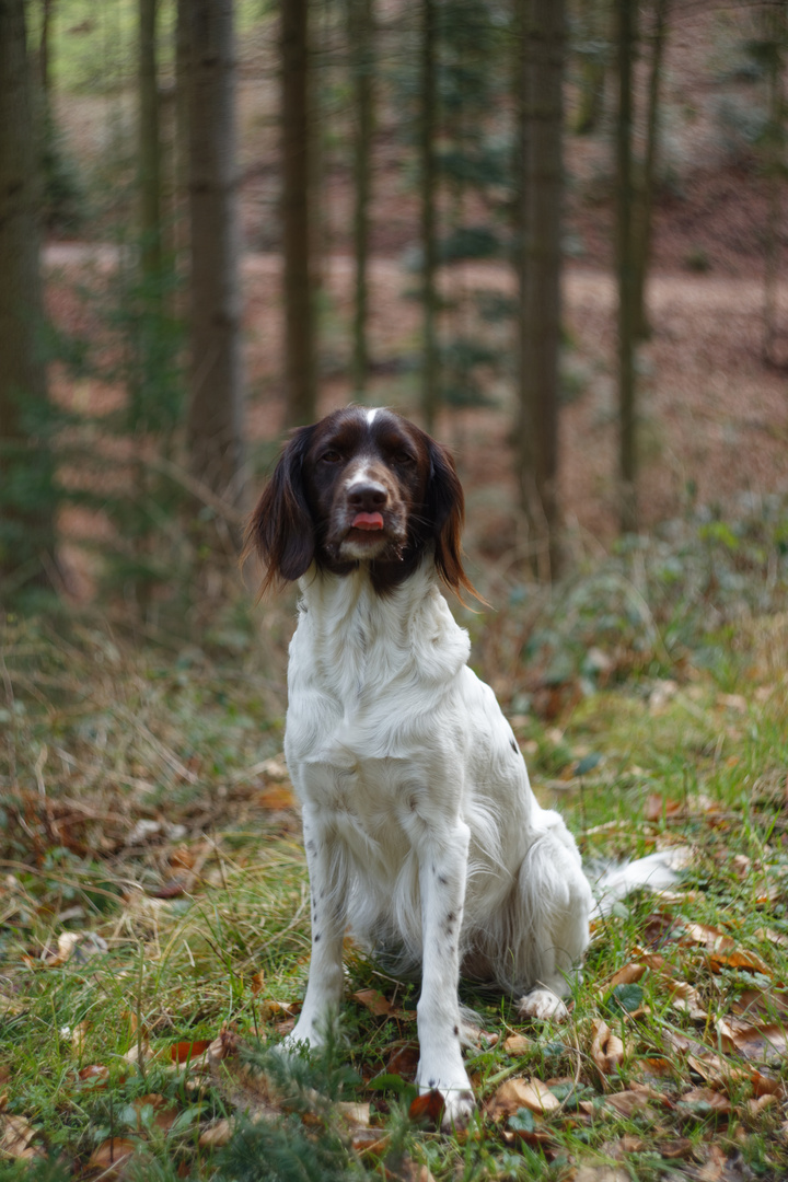 "Lilli" Swirly Bokeh