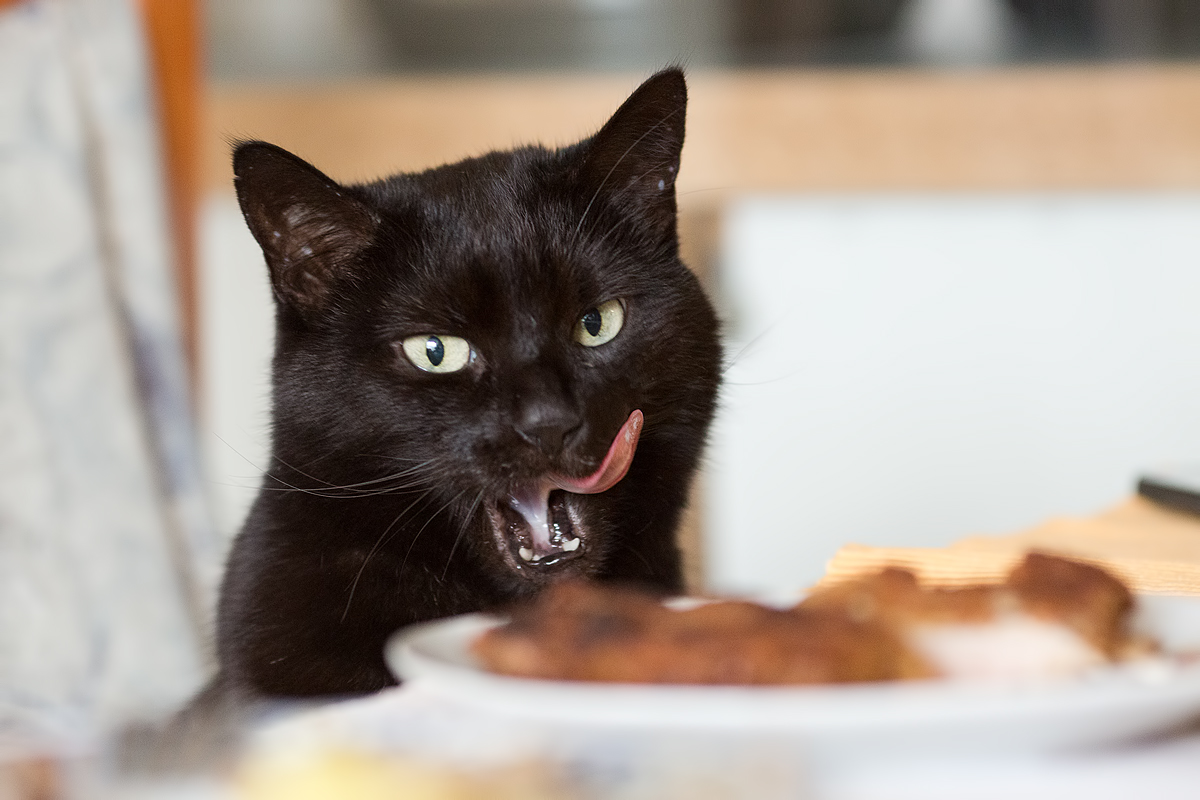 Lilli und der Schnitzelteller