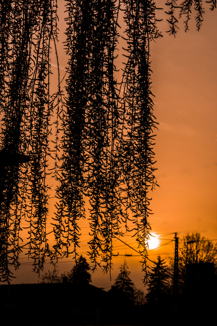 "Lillianen"sonnenuntergang