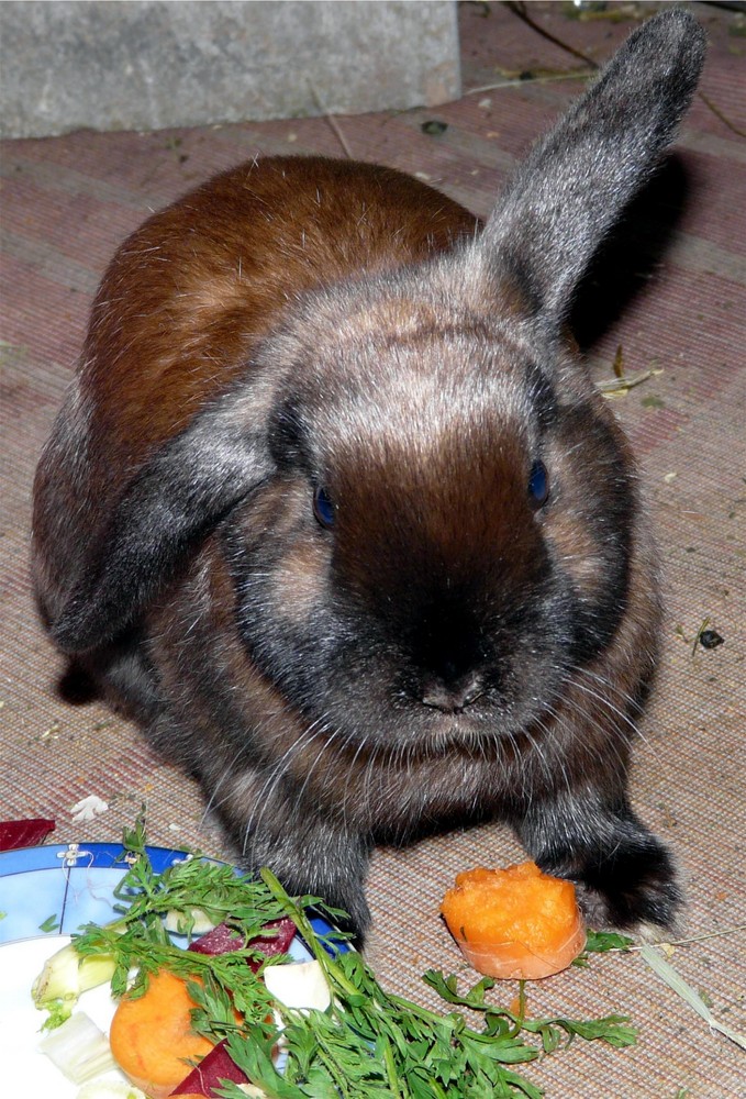 Lillifee beim Snack zwischendurch