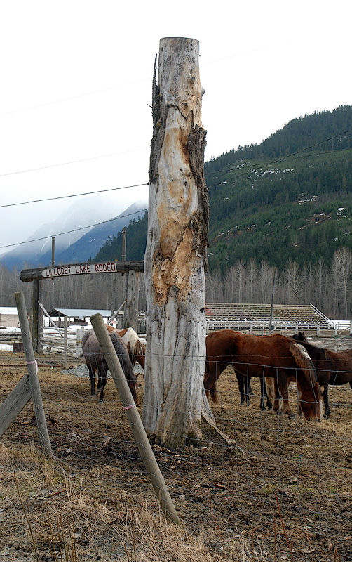 Lillooet Lake Rodeo