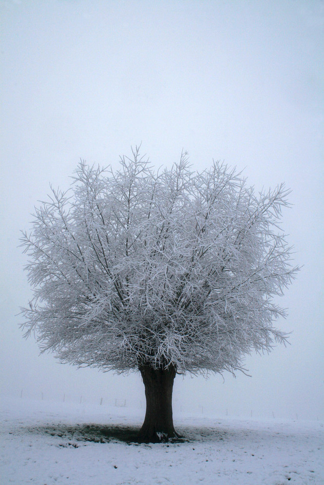 L'Illusion silencieuse