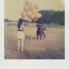Lilly, Ballons und die Kuh