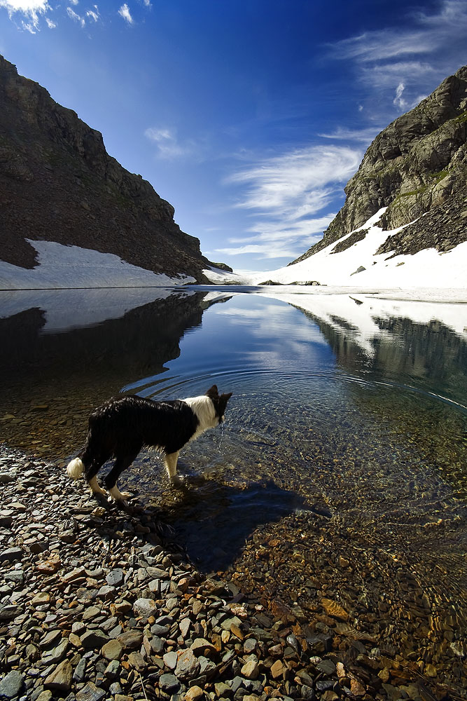 Lilly ed il lago Coca