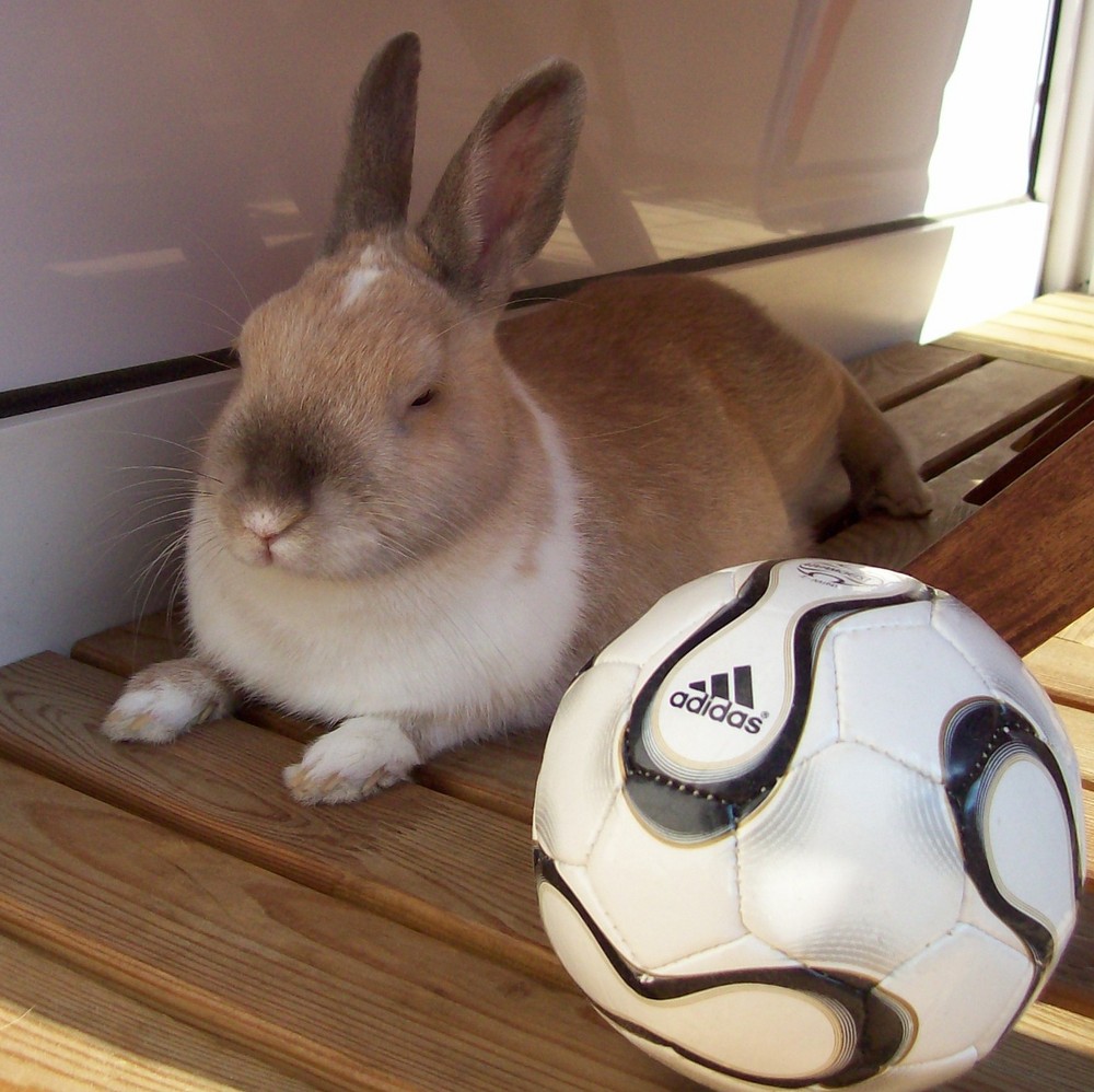 Lilly: Fußball ist anstrengend !