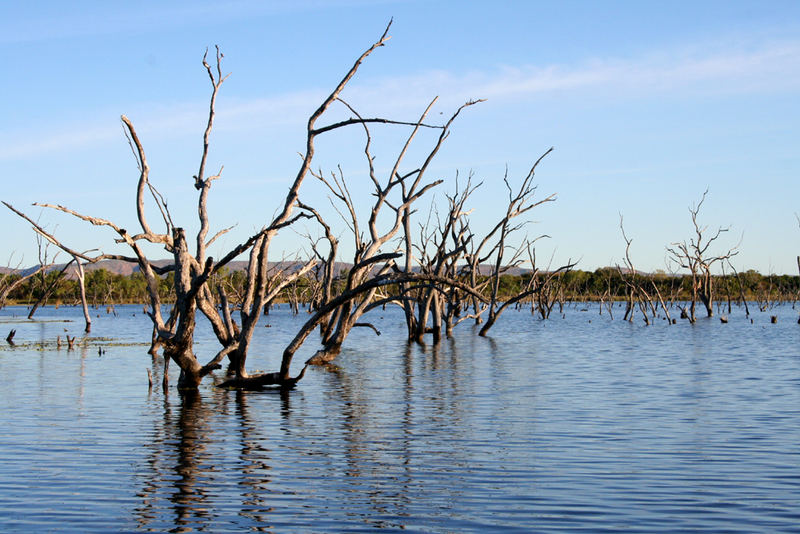 Lilly Lagoon, Kununurra